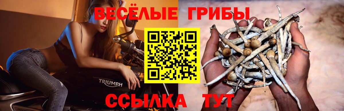 Псилоцибиновые грибы мицелий  Вход с VPN  Усть-Илимск 